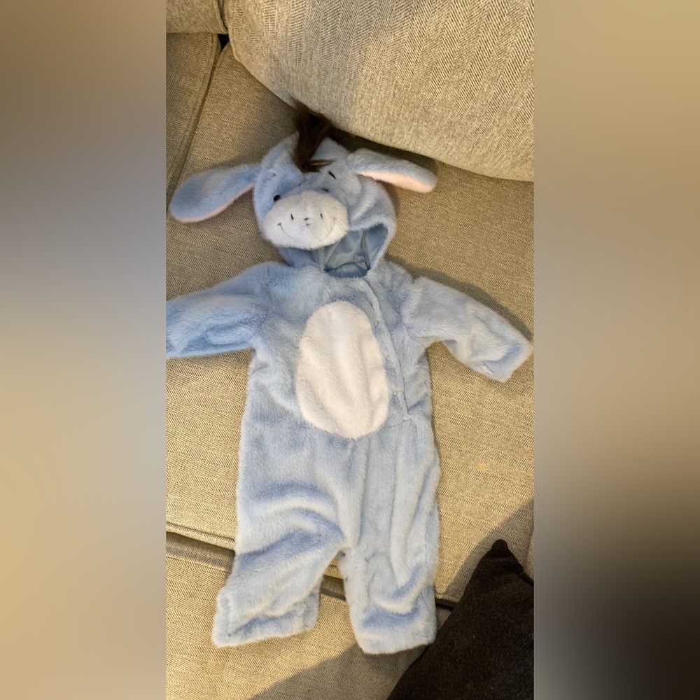 Pottery barn eeyore costume worn once!